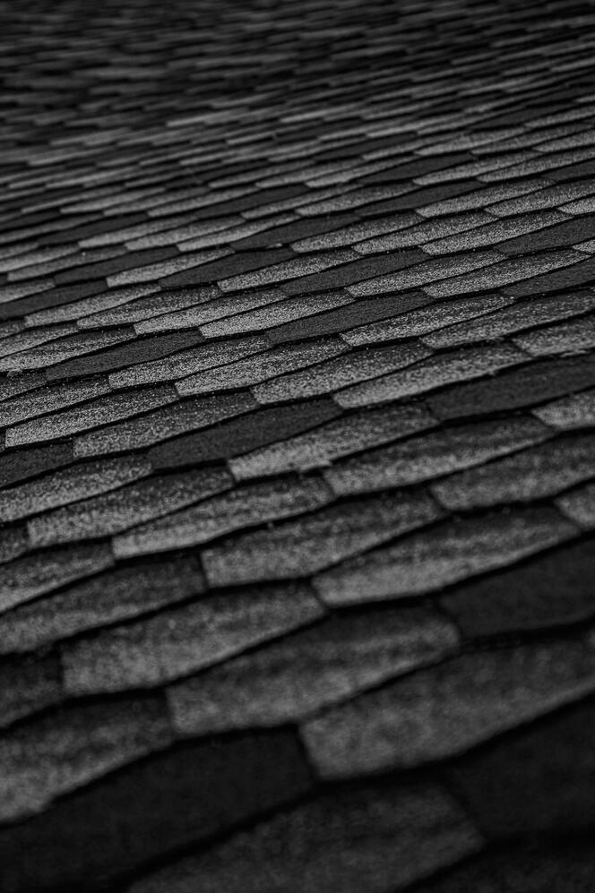 RooferBot